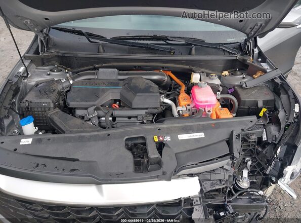 KNDPUCDG1R7126822 2024 KIA SPORTAGE HYBRID Серый Вид сзади