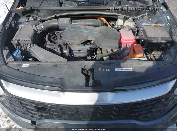 KNDPVCAG1P7066247 2023 KIA SPORTAGE HYBRID Серый Вид сзади