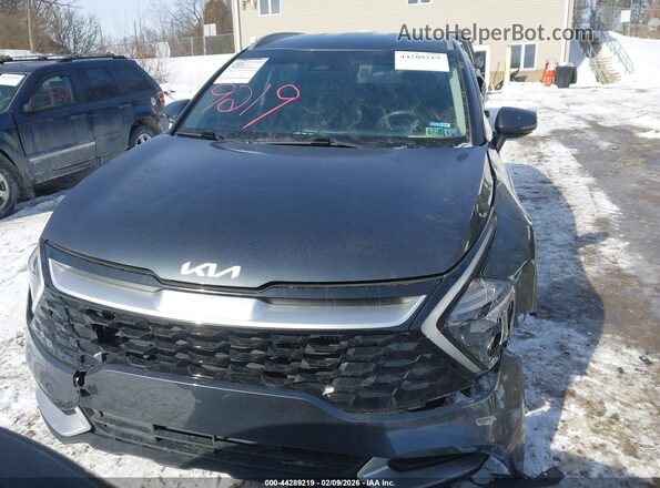 KNDPVCAG1P7066247 2023 KIA SPORTAGE HYBRID Серый Вид задней части салона