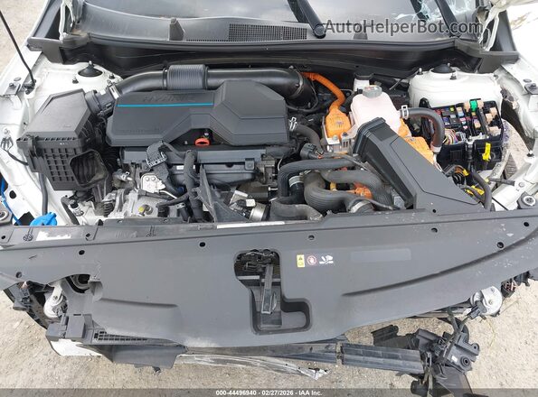 KNDPVCAG6P7012958 2023 KIA SPORTAGE HYBRID White Вид ззаду