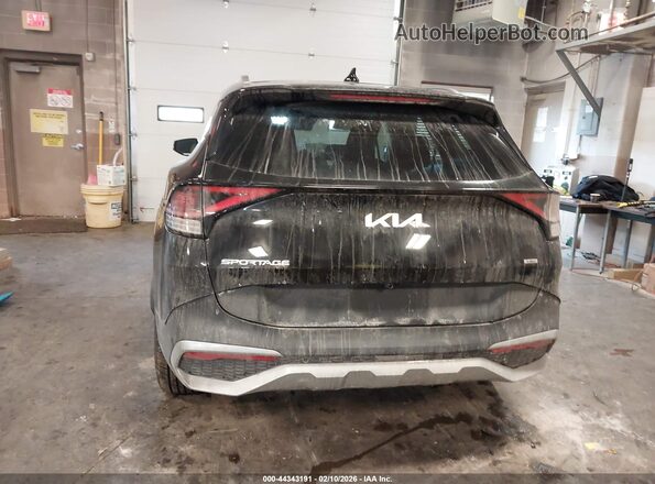 KNDPVCAG7P7082338 2023 KIA SPORTAGE HYBRID Black 