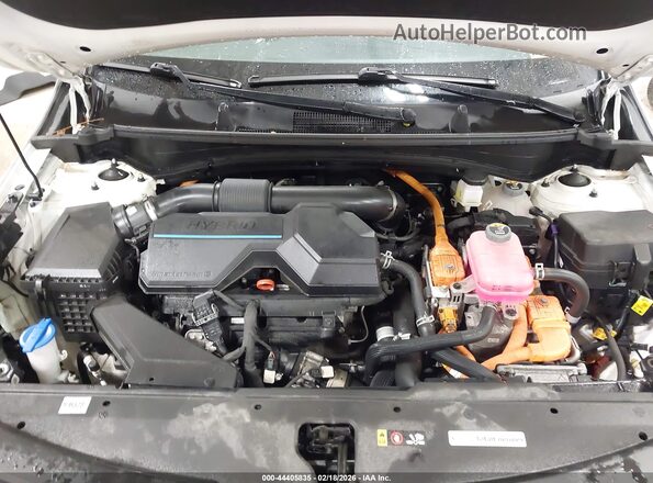 KNDPVCAG9P7111810 2023 KIA SPORTAGE HYBRID Белый Вид сзади
