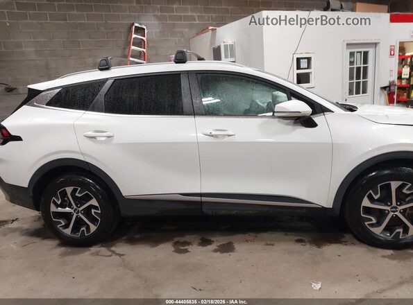 KNDPVCAG9P7111810 2023 KIA SPORTAGE HYBRID Белый Вид задней части салона