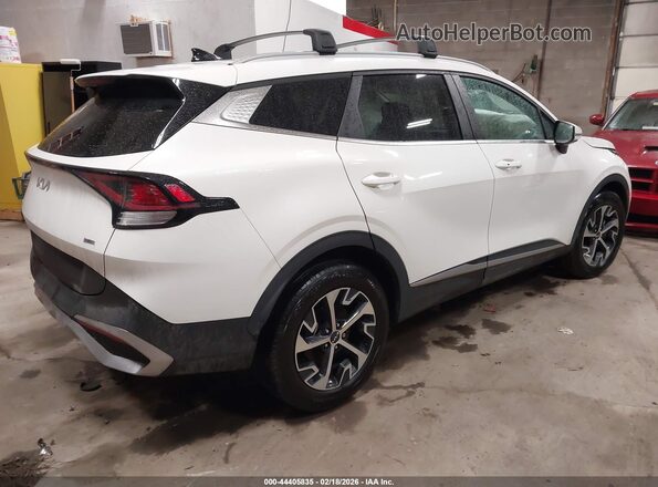 KNDPVCAG9P7111810 2023 KIA SPORTAGE HYBRID Белый Задняя правая четверть
