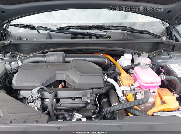 KNDPVDDG7T7299058 2026 KIA SPORTAGE HYBRID Gray უკანა ხედი