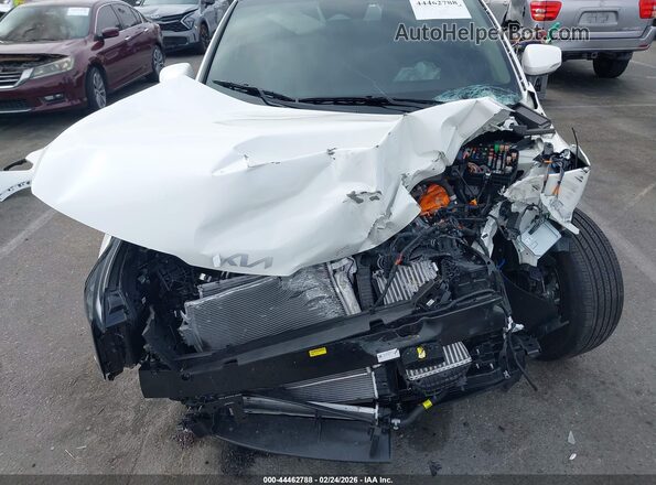 KNDPVDDG7T7299268 2026 KIA SPORTAGE HYBRID White Widok z przodu