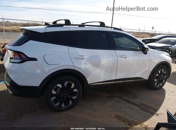 KNDPYDAHXP7049422 2023 KIA SPORTAGE PLUG-IN HYBRID Белый Вид задней части салона