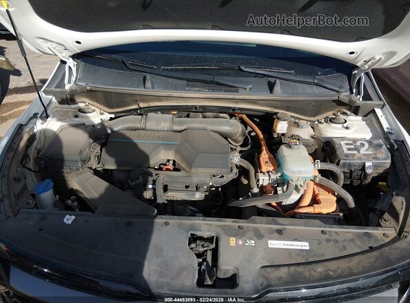 KNDPYDAHXP7049422 2023 KIA SPORTAGE PLUG-IN HYBRID Белый Вид сзади
