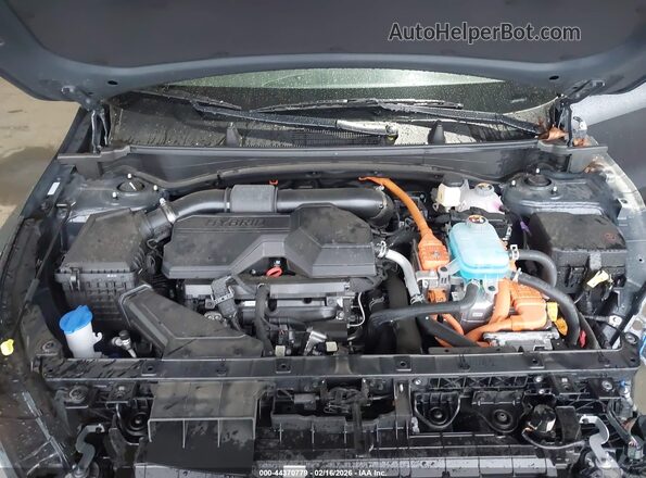 KNDPYDDH4S7239091 2025 KIA SPORTAGE PLUG-IN HYBRID Gray Rear view