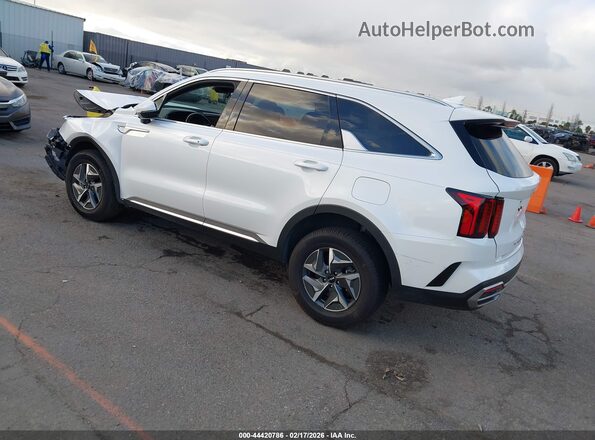 KNDRG4LG0N5124654 2022 KIA SORENTO HYBRID Белый 