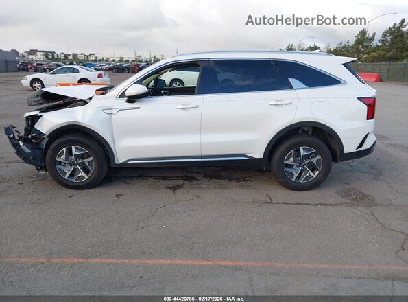 KNDRG4LG0N5124654 2022 KIA SORENTO HYBRID Белый 