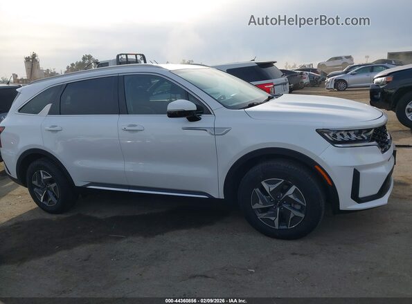 KNDRG4LG2N5081550 2022 KIA SORENTO HYBRID White 