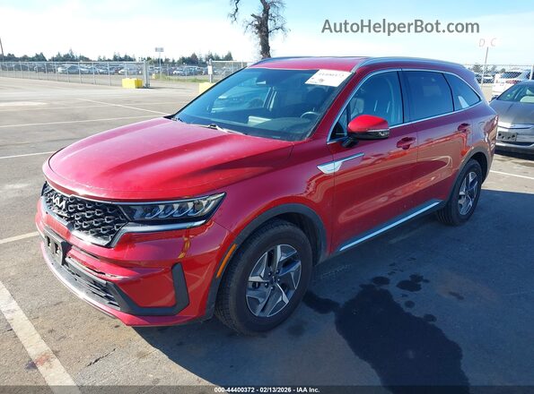KNDRG4LG7N5123498 2022 KIA SORENTO HYBRID Red 
