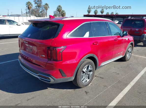 KNDRG4LG7N5123498 2022 KIA SORENTO HYBRID Red 