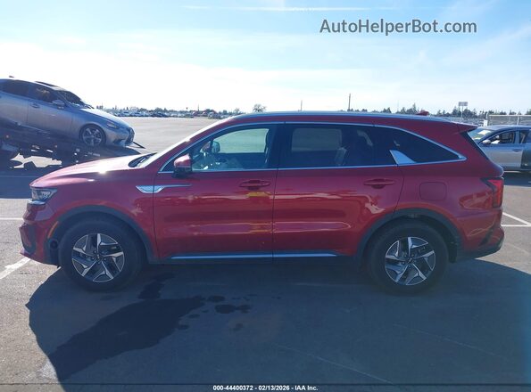 KNDRG4LG7N5123498 2022 KIA SORENTO HYBRID Red 