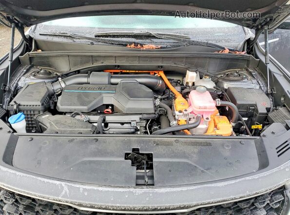 KNDRGDLG3N5122302 2022 KIA SORENTO Серый Вид задней части салона