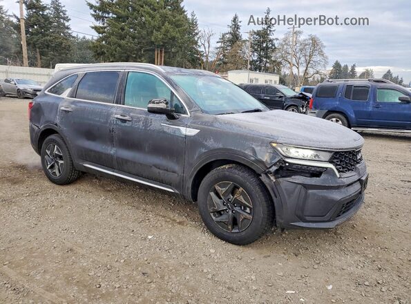 KNDRGDLG3N5122302 2022 KIA SORENTO Серый Передняя правая четверть