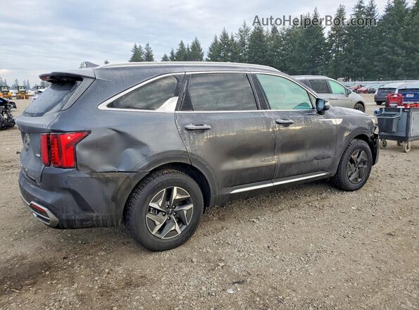 KNDRGDLG3N5122302 2022 KIA SORENTO Серый Задняя правая четверть