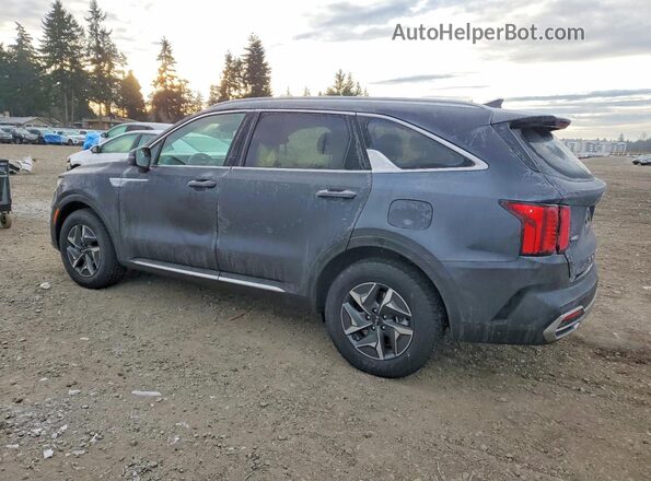 KNDRGDLG3N5122302 2022 KIA SORENTO Серый Задняя левая четверть