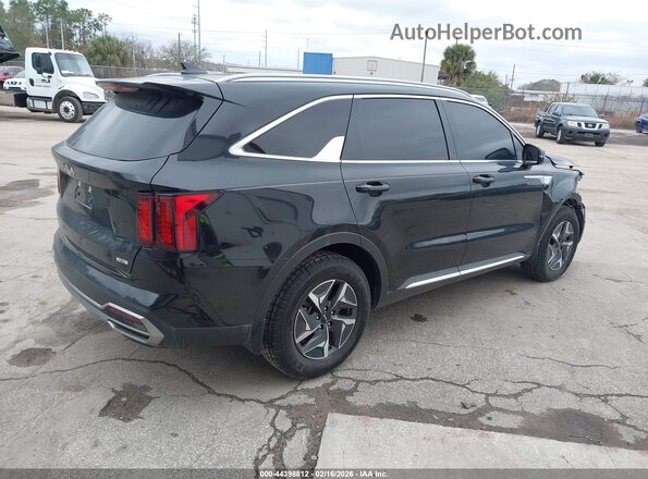 KNDRH4LG9P5172542 2023 KIA SORENTO HYBRID Black Rear right
