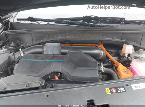 KNDRKDLG6P5215669 2023 KIA SORENTO HYBRID Black უკანა ხედი