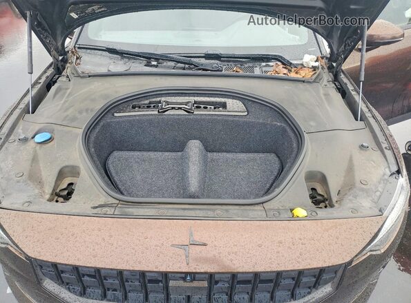 LPSED3KA6ML008926 2021 POLESTAR 2 Brown Widok wnętrza z tyłu