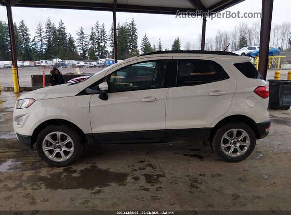 MAJ6P1UL1JC233603 2018 FORD ECOSPORT Белый Панорамный вид салона 360°