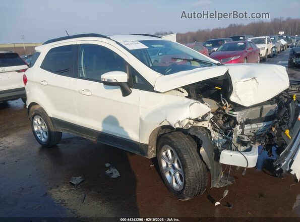 MAJ6S3GL2NC463890 2022 FORD ECOSPORT Белый Вид задней части салона