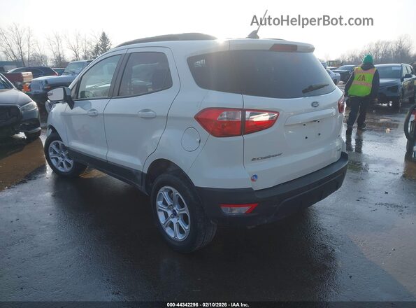 MAJ6S3GL2NC463890 2022 FORD ECOSPORT Белый Задняя левая четверть