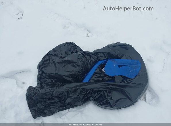MAJ6S3GL3MC424319 2021 FORD ECOSPORT Синий 