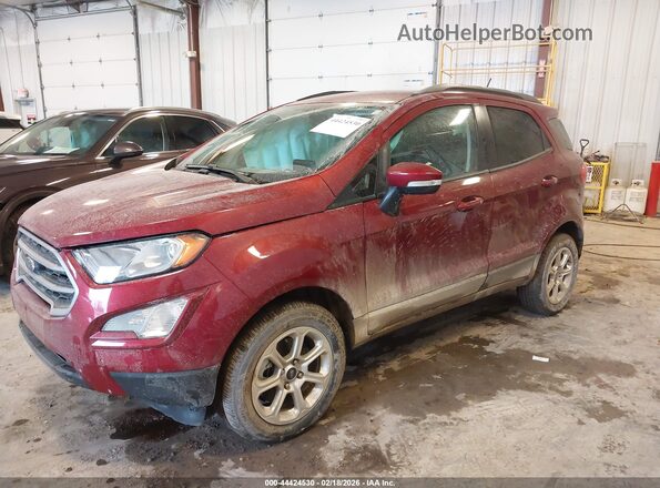 MAJ6S3GL4LC340282 2020 FORD ECOSPORT Red Передня ліва чверть