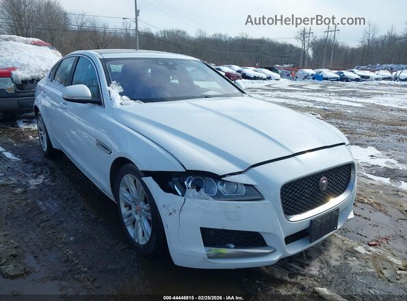 SAJBD4BV2GCY06638 2016 JAGUAR XF Белый Вид спереди
