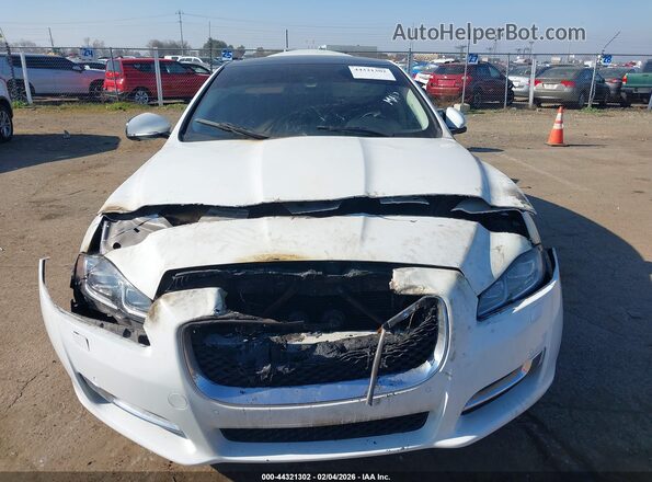 SAJWJ1CD0G8V92072 2016 JAGUAR XJ Белый Вид спереди