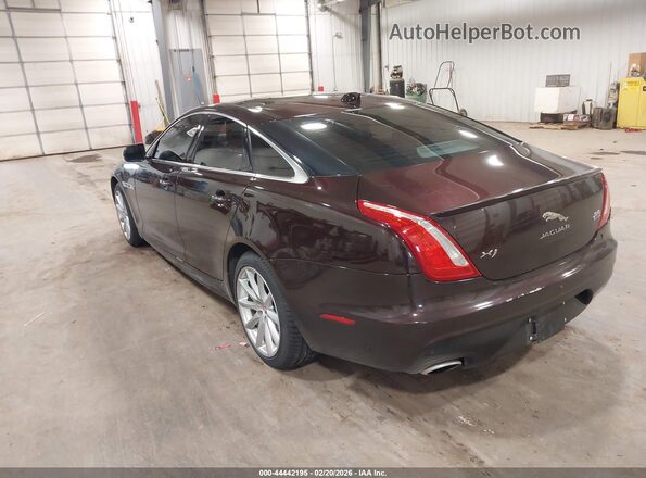 SAJWJ1CD1G8V99080 2016 JAGUAR XJ Purple უკანა მარცხენა