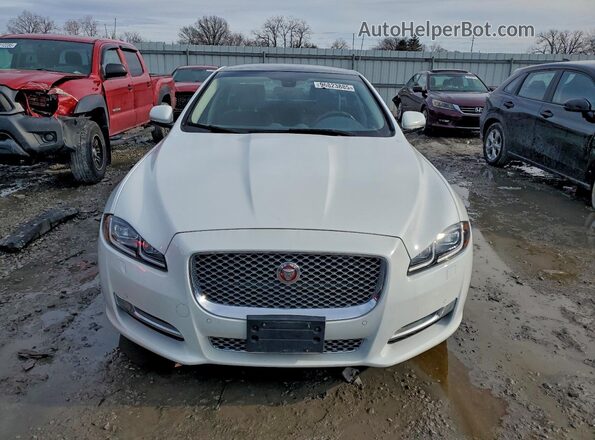 SAJWJ2GD6G8V96742 2016 JAGUAR XJL Белый Вид спереди