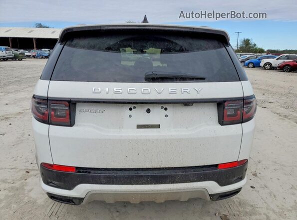 SALCJ2FXXRH349149 2024 LAND ROVER DISCOVERY White Widok z tyłu