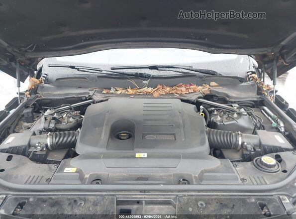 SALGS2RU9MA429091 2021 LAND ROVER RANGE ROVER Черный Вид сзади