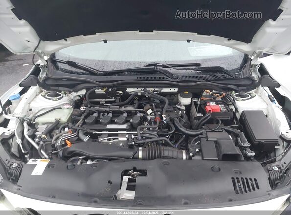 SHHFK7H98KU224538 2019 HONDA CIVIC Белый Вид сзади