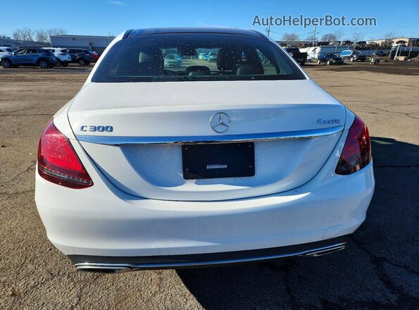 W1KWF8EB6MR628623 2021 MERCEDES-BENZ C White Вид ззаду
