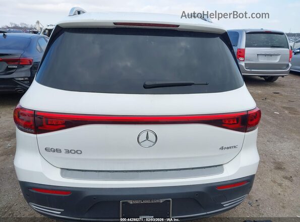 W1N9M0KB2PN059826 2023 MERCEDES-BENZ EQB 300 SUV Белый 