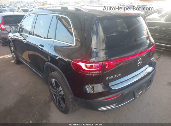 W1N9M0KB3PN048074 2023 MERCEDES-BENZ EQB 300 SUV Черный 
