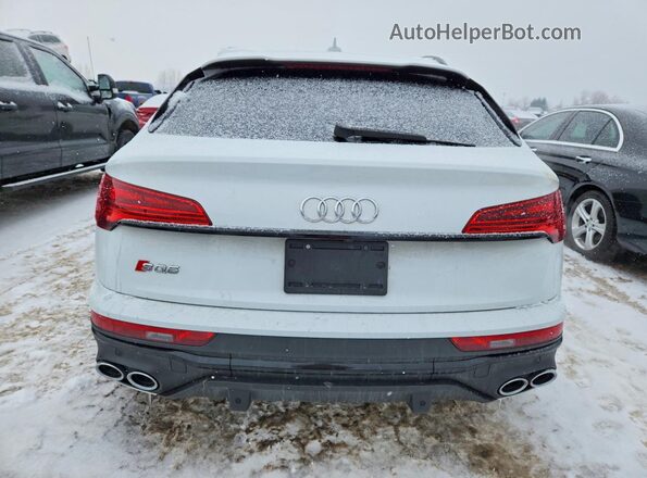 WA114AFYXM2088104 2021 AUDI SQ5 White Rear view