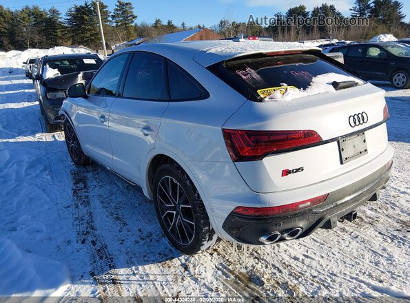 WA134BFY5P2159891 2023 AUDI SQ5 White უკანა მარცხენა