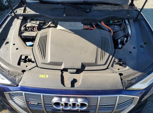 WA13AAGE6NB025685 2022 AUDI E-TRON Blue უკანა სალონის ხედი