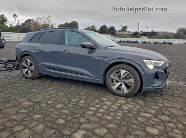 WA14AAGE6RB053237 2024 AUDI Q8 Серый 