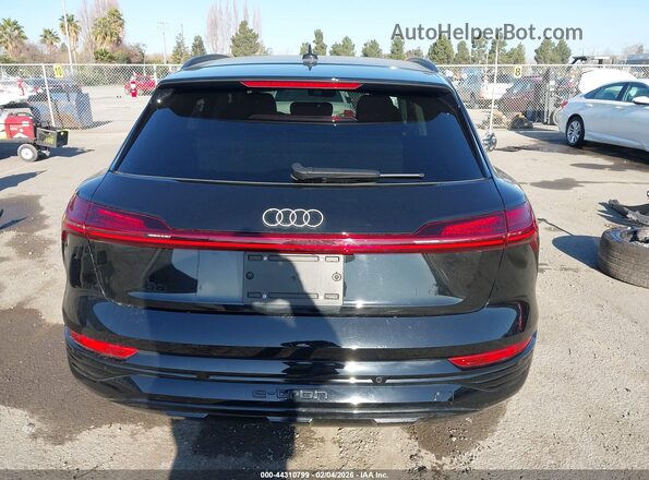 WA15AAGE0RB060401 2024 AUDI Q8 E-TRON Черный 