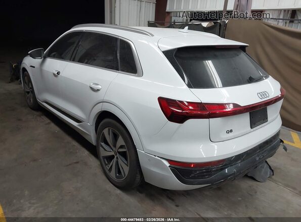 WA15AAGE1RB019565 2024 AUDI Q8 E-TRON White Tył lewy