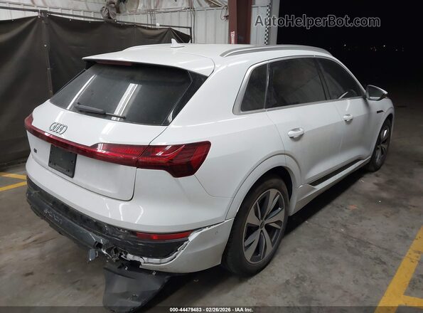 WA15AAGE1RB019565 2024 AUDI Q8 E-TRON White Tył prawy