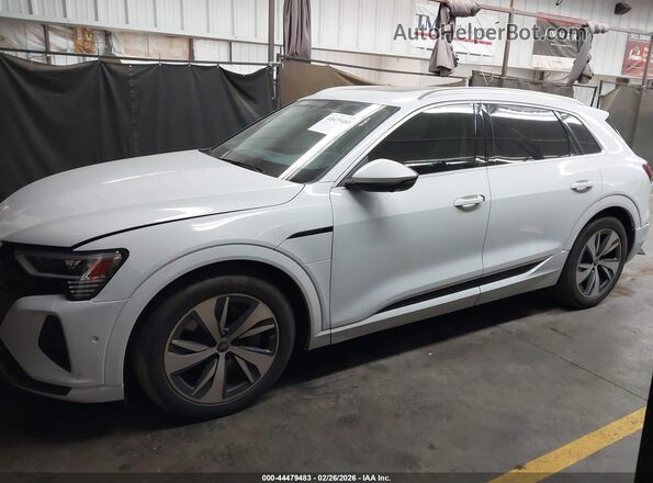 WA15AAGE1RB019565 2024 AUDI Q8 E-TRON White Widok wnętrza 360 stopni