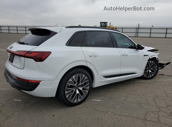 WA15AAGE2RB041770 2024 AUDI Q8 White უკანა მარჯვენა